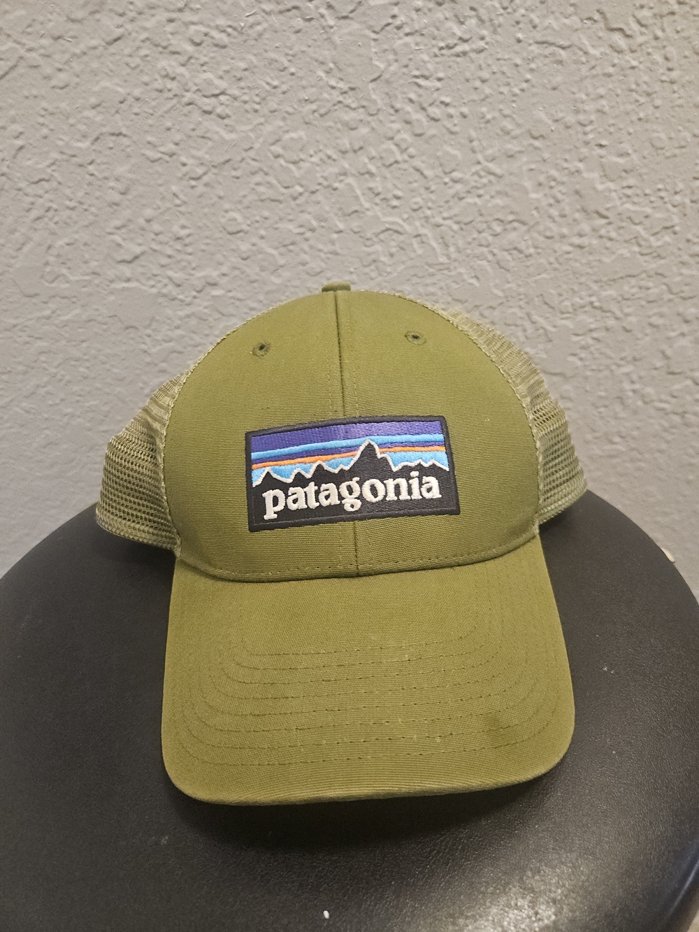 Patagonia Olive Green Trucker Hat